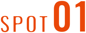SPOT1