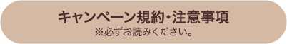 キャンペーン規約・注意事項
