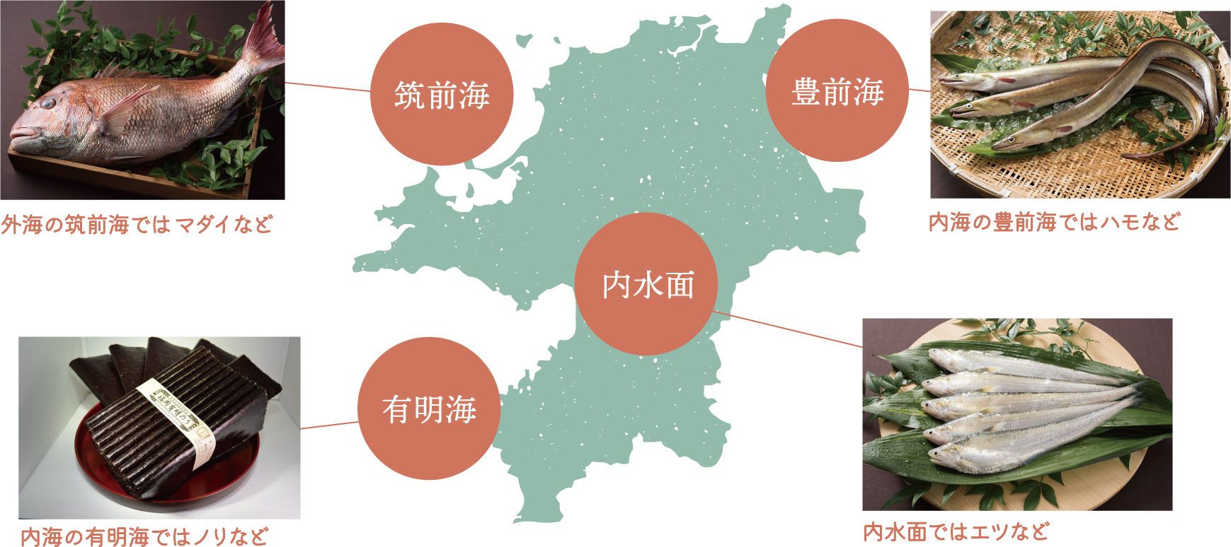 筑前海　外海の筑前海ではマダイなど　有明海　内海の有明海ではノリなど　内水面　内水面ではエツなど　豊前海　内海の豊前海ではハモなど