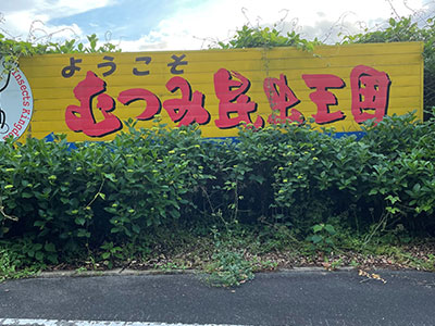 むつみ昆虫王国