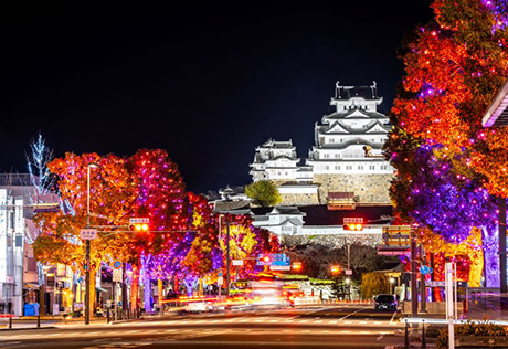 Himeji大手前通りイルミネーション
