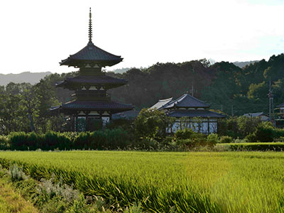 法起寺