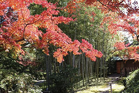 八幡市立松花堂庭園・美術館