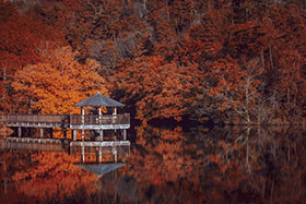 井手町野外活動センター　大正池グリーンパーク