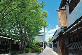 福寿園 茶問屋ストリート