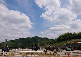 乗馬クラブクレイン学研枚方