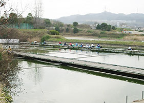 王仁新池釣センター