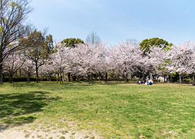 王仁公園