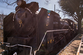 王子公園のD51
