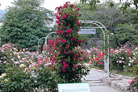 岩ケ平公園