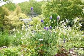 西宮市北山緑化植物園