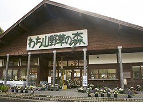わち山野草の森