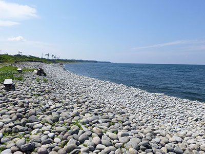 鳴り石の浜