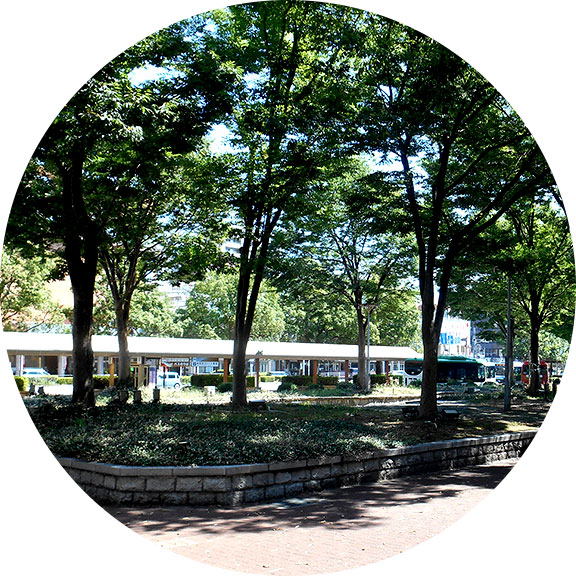 ケヤキ広場