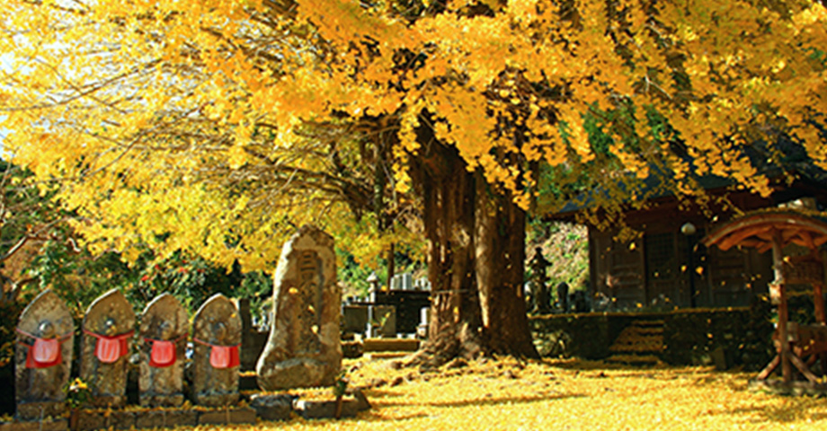 光泉寺