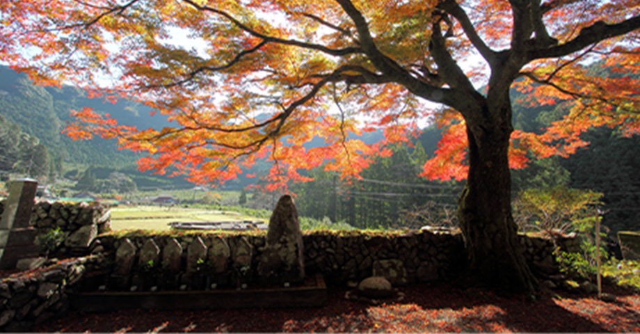 瀧川寺