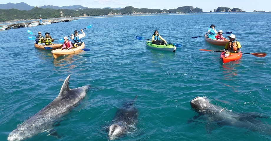 くじらの海シーカヤック