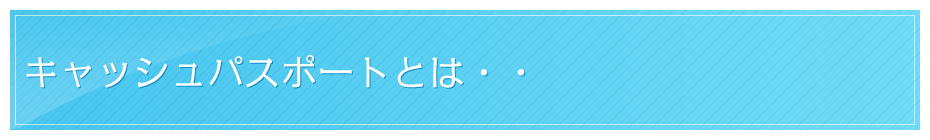 �L���b�V���p�X�|�[�g�Ƃ́E�E