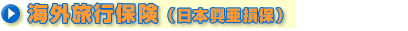 �C�O���s�ی��i���{�������ہj
