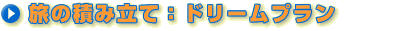 ���̐ςݗ��āF�h���[���v����