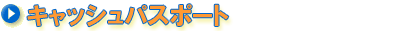 �L���b�V���p�X�|�[�g