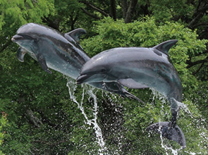 せとうち無人島冒険ツアーと新屋島水族館　２日間