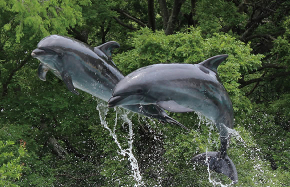 せとうち無人島冒険ツアーと新屋島水族館　２日間