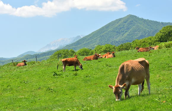 蒜山・大山　高原の夏休み　2日間