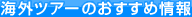 �C�O�c�A�[�̂������ߏ��