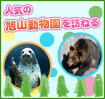 人気の旭山動物園を訪ねる