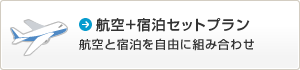 �q��+�h���@�q��Əh�������R�ɑg�ݍ��킹
