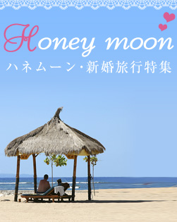 �n�l���[���E�V�����s���W