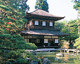 京都旅行特集