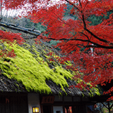 愛知県