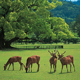 奈良県