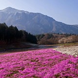 埼玉県