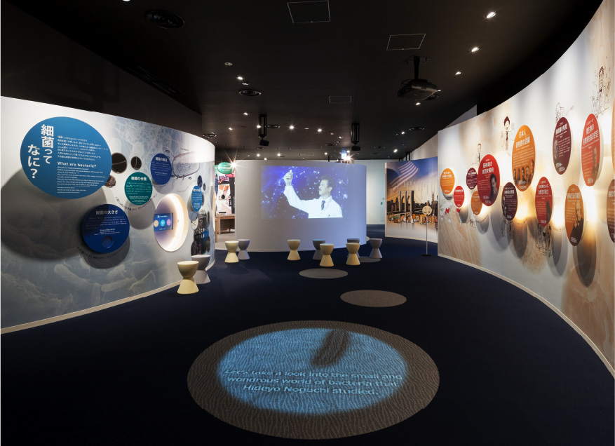 野口英世記念館 展示