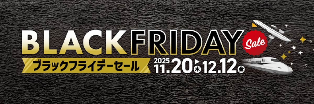 ブラックフライデーセール