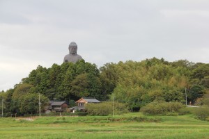 山の上から顔を出した大仏