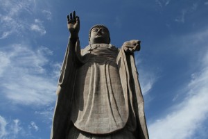 下から見上げると、