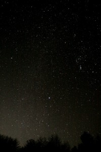 冬の大三角 冬の大三角(シリウス、ベテルギウス、プロキオン)