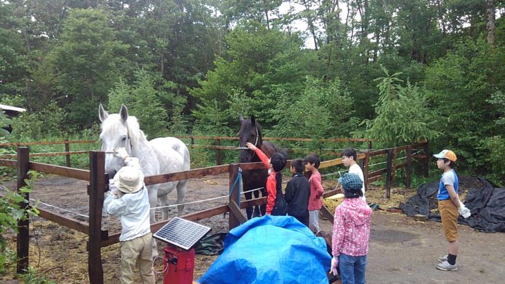 8月16日出発、馬と暮らすキャンプ　2日目