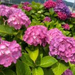 自粛期間中のリーダーたち②「気づいたこと」