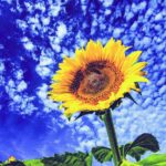 【夏】サマーキャンプに必要な持ち物は？