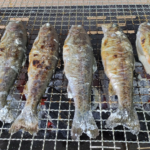 ７月２６日発川遊びキャンプ３泊４日白州２日目