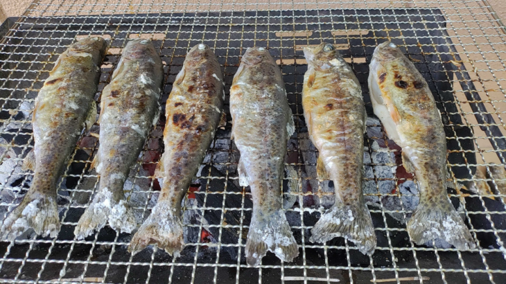 ７月２６日発川遊びキャンプ３泊４日白州２日目