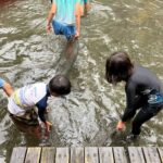 ニジマスつかみの感想