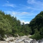 サマーキャンプのメリットとは