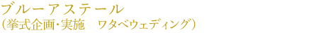 �u���[�A�X�e�[���@�i�������E���{�@���^�x�E�F�f�B���O�j