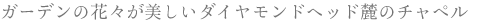 �K�[�f���̉ԁX���������_�C�������h�w�b�h�[�̃`���y��